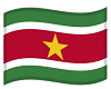 CAE Suriname Flag