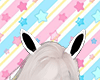 Zebra Ears