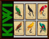 Parrots frames 2