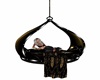 Blk/Gold Canopy Swing
