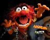 Animal The Muppets