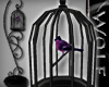 Bird Cage ~ Cardinal