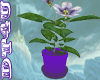 DT4U Purple Flower Pot