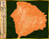 I~Orange Feather Duster