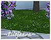 Paris Grass Patch