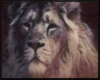 Lion Art Picture