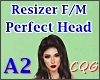 PERFECT Head 👩🏽 A2