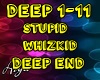 Stupid Whizkid Deep end