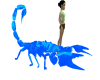 Blue Scorpian