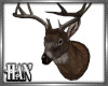[H]Deer head trophy