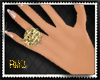 [RMQ]Golden Ring-R