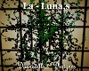 la-lunas wall ivy