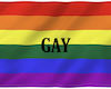 LGBTQIA+