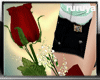 [R] Valentine Rose