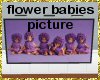 (MR) Flower babies pic