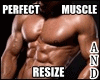 A~ Perfect Muscle Resize