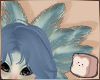 ⊹ Jay Feathers V1