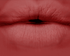 blush Lipstick