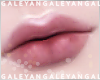 A | My zell lips v2