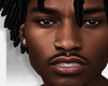 DALIM Head | Asteri