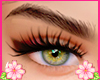 New  Brows Brown