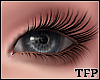 [TFP] Grey Eyes