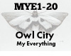 Owl City My Everything