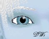 Winter Blue Eyes