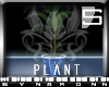 [S] Lotus - Palm Plant