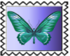 Butterfly 2 50 by 50
