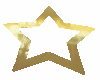 LF*Gold Star Marker