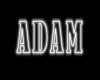 Neon ADAM