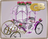 [GB]wedding carriag pink