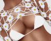CA Daisy Top White