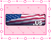 US animated Flag sticker