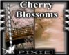 *P* 2 Sided CherryBlosso