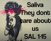 Saliva They dont care
