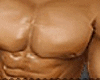 INITIO.SPN BronzeOiLSkin