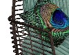 peafowl chair