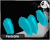 ~Dc) Paws [ teal ] F