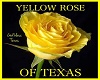Yellow Rose Of Texas Rug