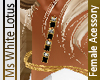 Onyx Diamond Earrings I