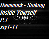 Hammock-Sinking InsideP1