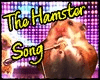 The Hamster Song + D
