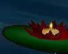 -LMM-Red Water Lilies