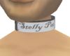 Stelly pet collar [M]