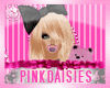 PD~Punk Princess Bear