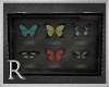 R. Butterfly Display V2