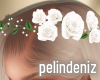 [P] Flower crown