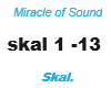 Skal / Miracle of Sound